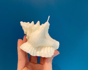 Muschelschale Kerze Kunst handgemachte Wohnkultur Duftende Sojawachs Skulptur Kerzensatz