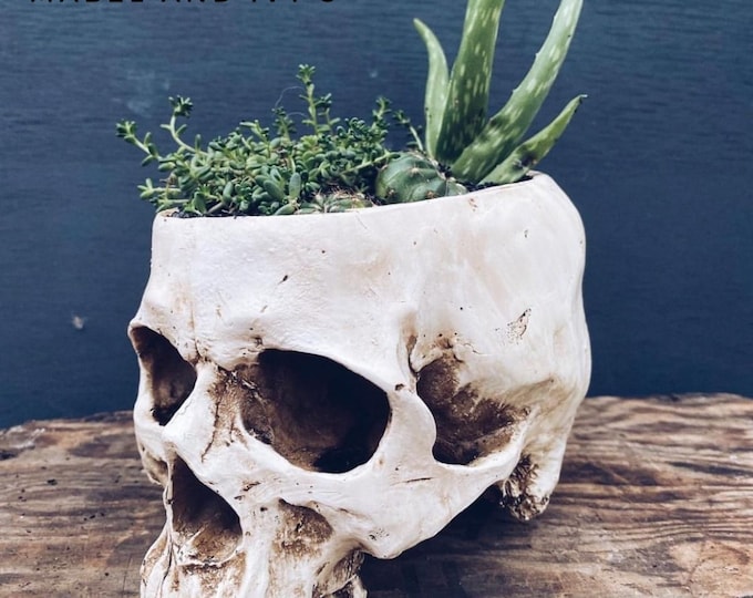 Handmade Gothic skull planter plant pot resin faux human skeleton plant holder