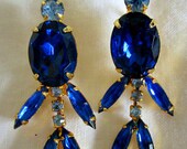 Gorgeous Blue Earrings-They Move
