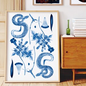 Könnte beinhalten: Eine Sammlung gerahmter Kunstdrucke mit botanischen und tierischen Illustrationen. Die Drucke zeigen blau-weiße Zeichnungen von Schlangen, Blumen und anderen Pflanzen. Die Farbpalette umfasst Blau-, Braun- und Weißtöne. Die Drucke werden an einer hellen Wand mit einem Holzschrank ausgestellt.