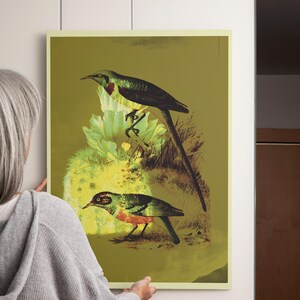 Decoración de vida salvaje exótica Ilustración de historia natural Póster de pájaros vintage Obra de arte botánica colorida para entusiastas de la naturaleza Pájaro para colgar en la pared