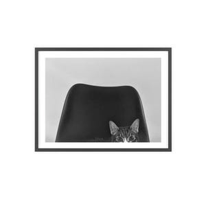 Wall Art, Cat Photography, Poster with Wooden Frame, Artistic Black and White Print, Home Decor, Animal Lover Gift