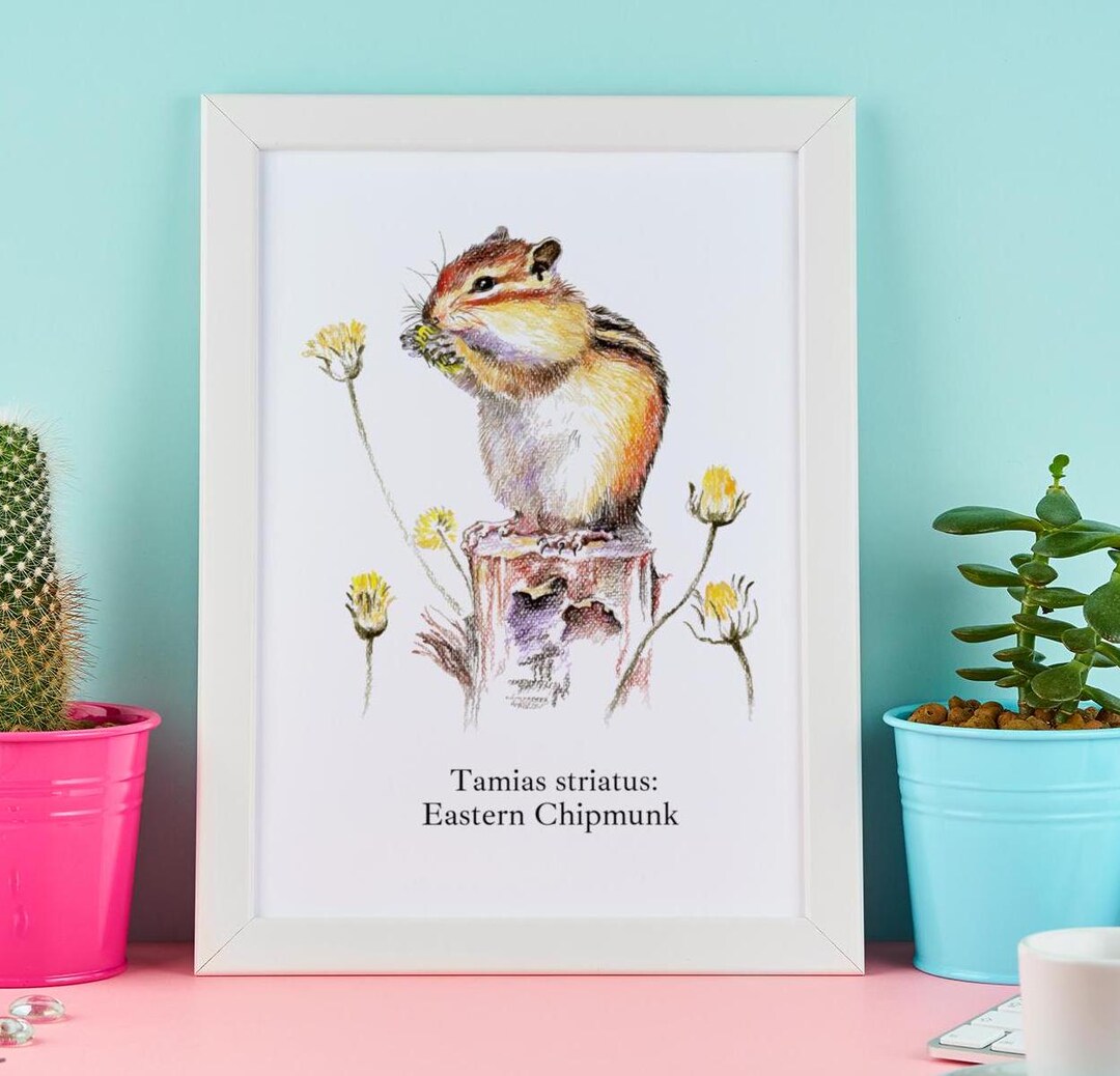 Chipmunk Framed Poster, Multi-color Wall Art, Cute Animal Print ...