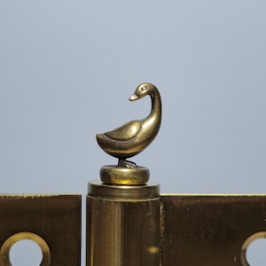 May include: A brass hinge featuring a swan ornament. The hinge has a rectangular design with two circular holes. The swan is a detailed, decorative element, adding a touch of sophistication to the hardware.