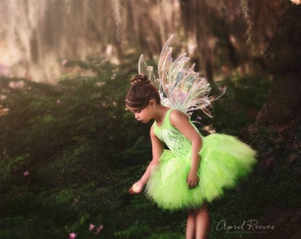 Tinkerbell inspired costume tutu 6 Wings not included