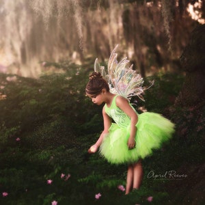 Tinkerbell inspired costume tutu 6 Wings not included