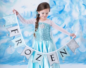 Frozen costume Elsa inspired dress 4t satin style skirt