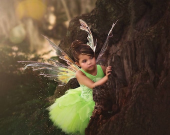 Tinkerbell inspired costume tutu 2t Wings not included