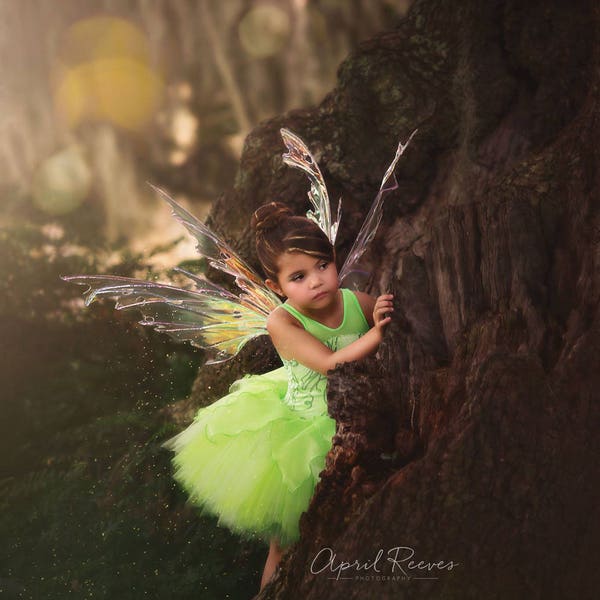 Tinkerbell Wings - Etsy