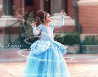 Cinderella dress inspired ballgown costume tutu RESERVED CUSTOM SIZE
