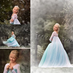 Elsa inspired ballgown tutu dress size 5