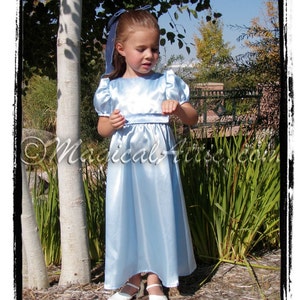 Custom Boutique Halloween Peter Pan WENDY Darling Blue Costume Girls Dress