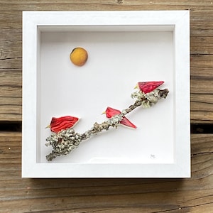 Red Cardinal Sea Pottery Shadowbox: Found Object Nature Art
