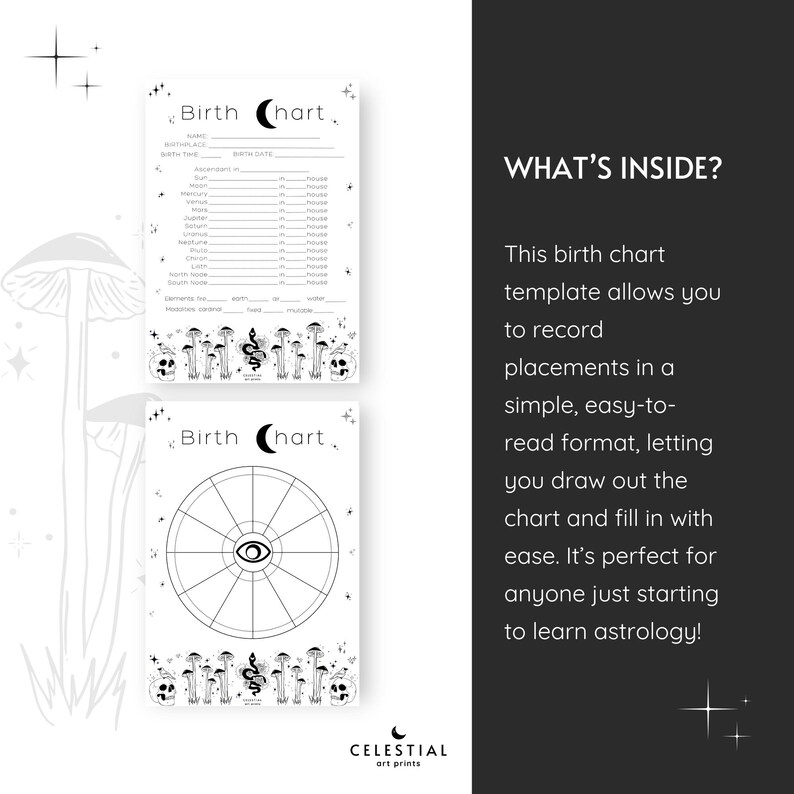 Blank Birth Chart Printable: Astrology Natal Chart Wheel (A5) - Etsy