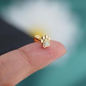 May include: A gold-coloured stud earring shaped like a paw print, featuring a pearly white centre. The small, delicate earring has a screw-back post. The paw print design is a popular symbol for pet lovers.