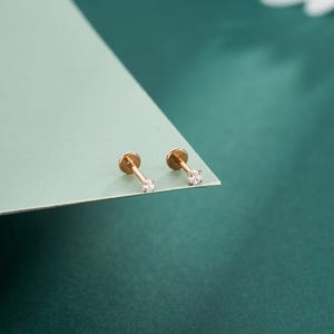Puede incluir: Dos pendientes planos de oro rosa, cada uno con una pequeña gema transparente. Los pendientes se muestran sobre una superficie verde claro, contra un fondo verde oscuro. Estos pendientes están diseñados para piercings en labios u orejas.