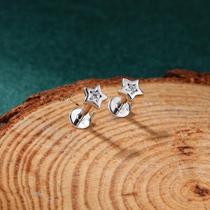 May include: Two silver star-shaped earrings with a clear crystal in the center. The earrings are 8mm in diameter and 12mm in length.