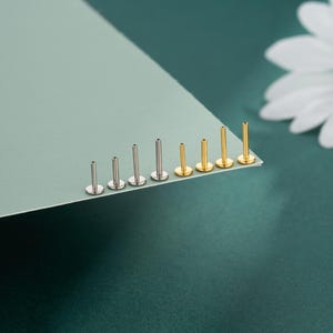 Puede incluir: Una variedad de labrets de espalda plana de color plata y oro. Los labrets están dispuestos en una fila, mostrando diferentes longitudes y tamaños. El fondo presenta una superficie verde azulado y una flor blanca.