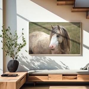 Horse or pony large digital download art photo framed in a narrow frame on a shadowed wall next to a window.  Modern southwestern furnished interior with tall plants in large ornamental posts completes the design. The minimalist frame compliments it.