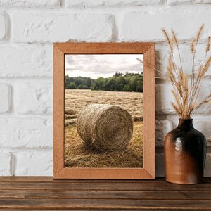 May include: A framed photograph of a hay bale in a field. The hay bale is round and brown, and the field is green and brown. The photograph is in a wooden frame.