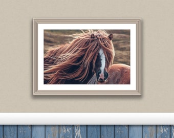 Horse Wall Art Print Modern Farmhouse Decor Boho Farm Wall Art Rustic Print Bohemian Art Wild Horse Photography Farm Poste Printable sizes