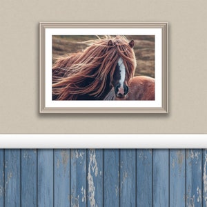 Pretty head shot of a pony or horse with a wild long mane blowing in the wind.  This is a digital downloadable art displayed in frame on a rustic wall of a boho modern farmhouse.