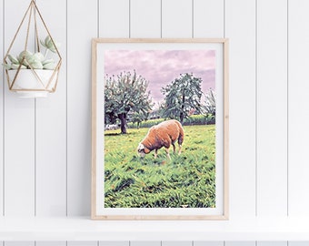 Sheep Grazing Digital Painting Impressionist Style. Old Time Life, Country Life. Print Photo Wall Art Rustic Printable Farmhouse Farm House