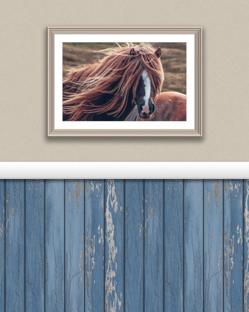 Pretty head shot of a pony or horse with a wild long mane blowing in the wind.  This is a digital downloadable art displayed in frame on a rustic wall of a boho modern farmhouse.