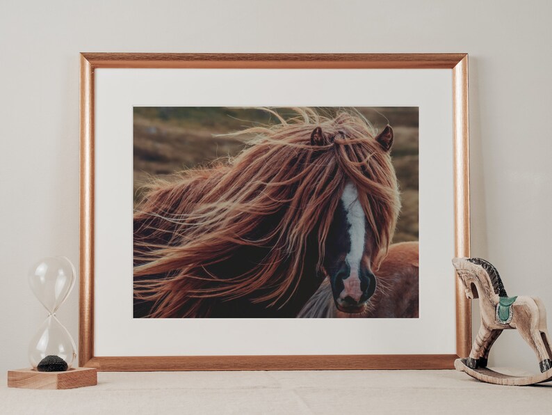 Up close head shot of a roan horse or pony.  Long shaggy mane blowing in the wind.  This is a digital print being displayed in a copper colored frame on a white shelf against a modern farmhouse or boho rustic interior wall.