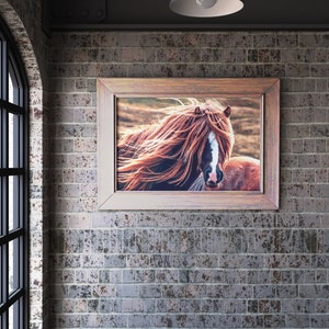 A large digital print of a horse or pony head shot displayed in a barn board wooden frame against a rustic brick wall.  The horse is a roan, with a long reddish mane blowing in the wind.  Lovely Art for offices or for homes of those who love horses.