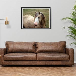 Horse Pony Wall Art Print Modern Farmhouse Decor Boho Farm Wall Art Rustic Print Bohemian Art Wild Horse Photography Farm southwest style image 2