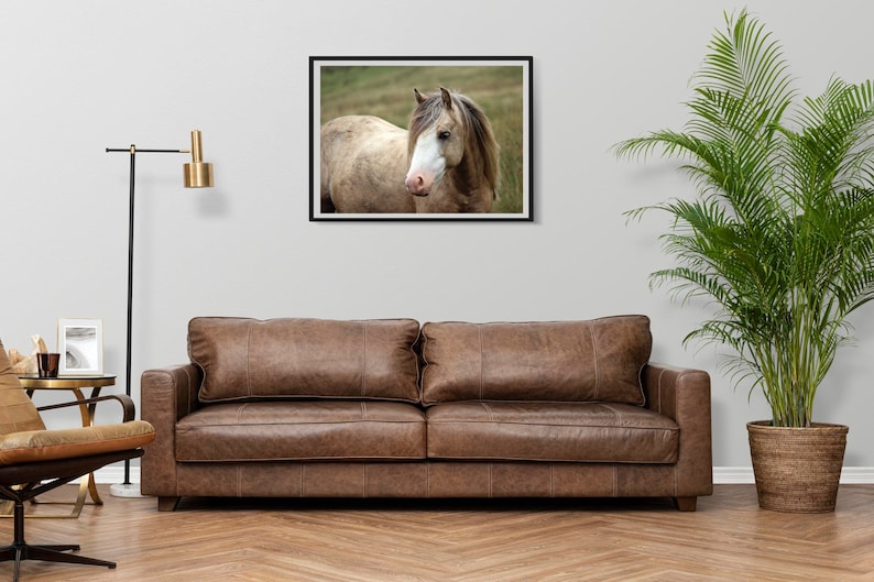 Horse Pony Wall Art Print Modern Farmhouse Decor Boho Farm Wall Art Rustic Print Bohemian Art Wild Horse Photography Farm southwest style image 2