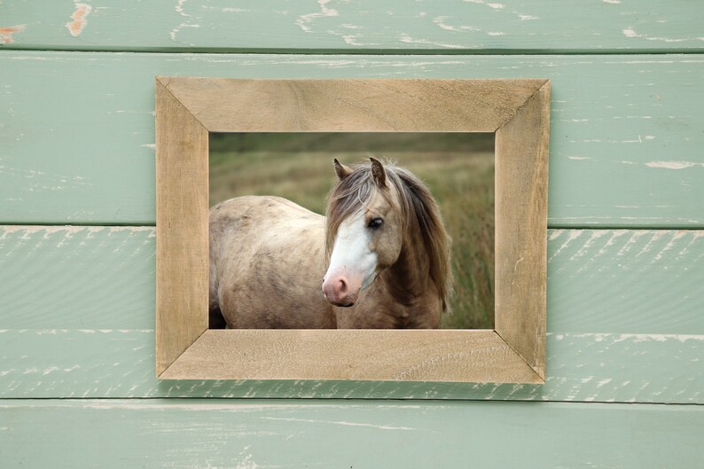 Horse Pony Wall Art Print Modern Farmhouse Decor Boho Farm Wall Art Rustic Print Bohemian Art Wild Horse Photography Farm southwest style image 3