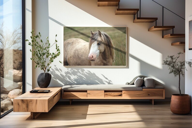 Horse or pony large digital download art photo framed in a narrow frame on a shadowed wall next to a window.  Modern southwestern furnished interior with tall plants in large ornamental posts completes the design. The minimalist frame compliments it.