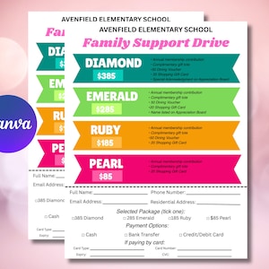 DIY Fundraising Flyer Template: Charity Event, Nonprofit (Canva Editable, 8.5x11 inches) (Digital Download)