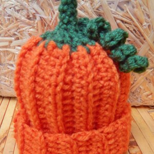 Pumpkin Baby Costume image 2