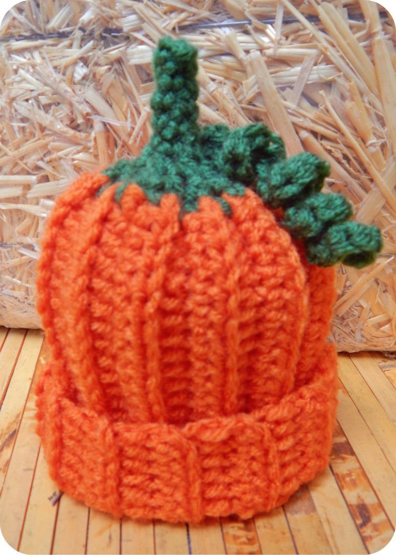 Pumpkin Baby Costume image 2