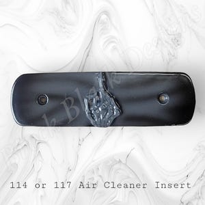 Harley Davidson aircleaner 114 or 117 insert with a middle finger theme