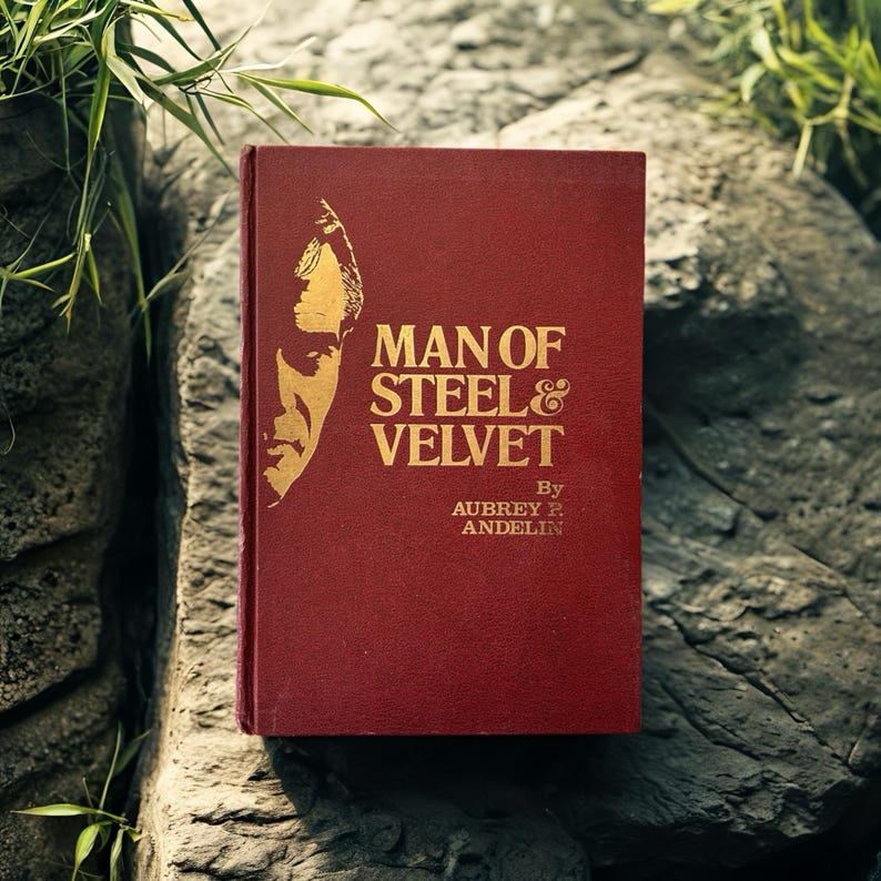 Op de afbeelding: Een rood hardcover boek met de titel "MAN OF STEEL & VELVET" van Aubrey P. Andelin. De titel en een illustratie van een man zijn in goudkleur. Het boek ligt op een grijs stenen oppervlak.