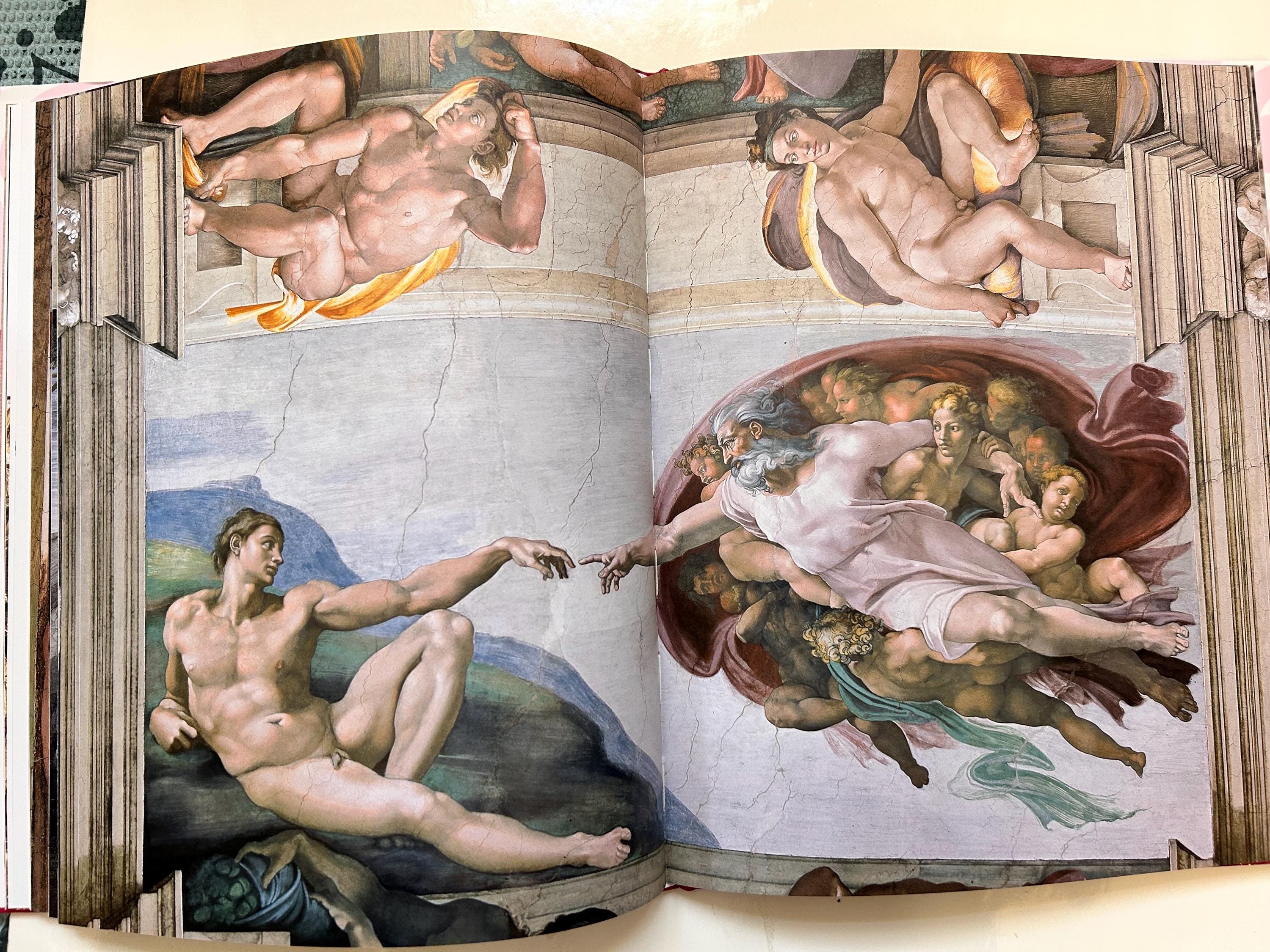 Vintage Art Book: Michelangelo (1475-1564), Universe Genius of the