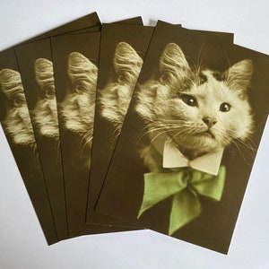 Fünf Kooky Kitty Katzen Postkarten - Vintage Reproduktionen