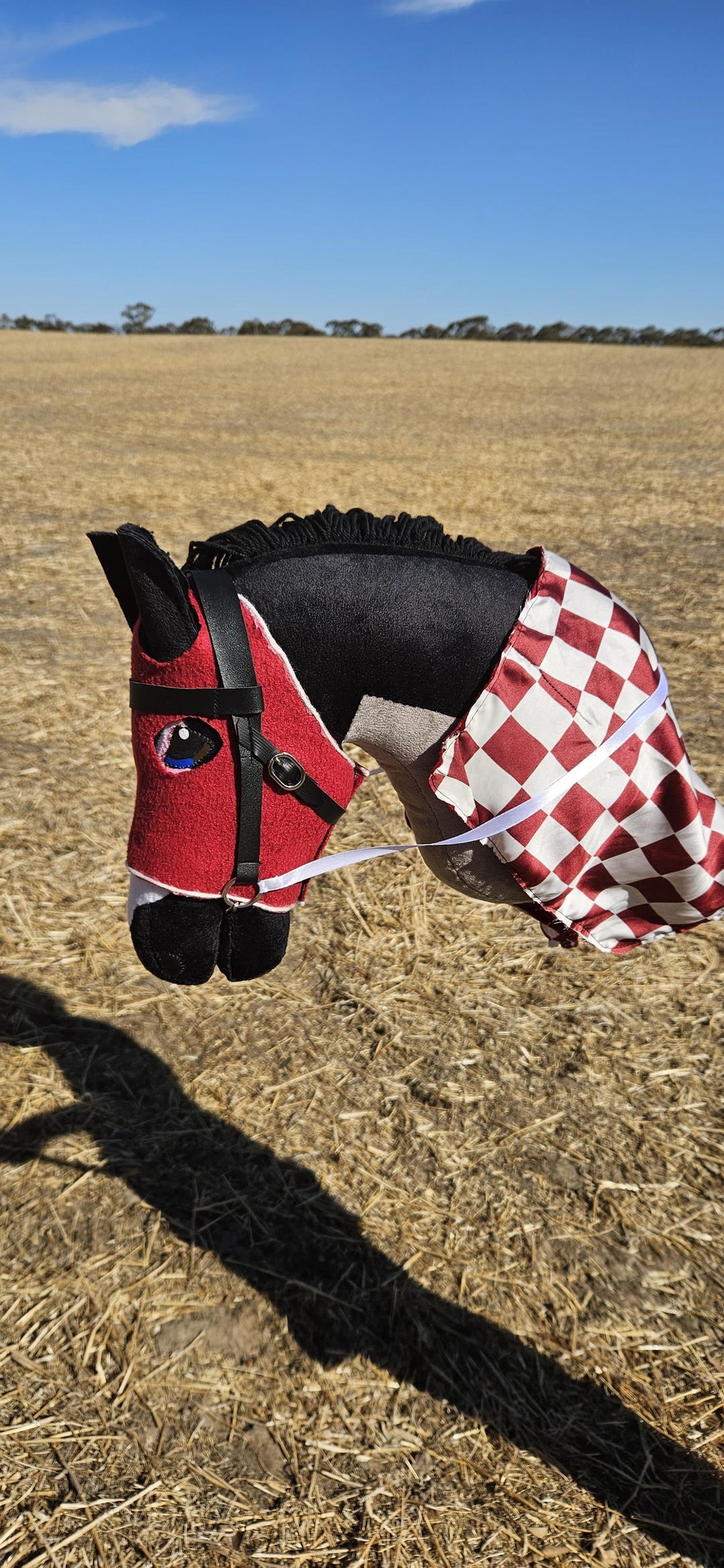 Hobby Horse Racing - Etsy Canada