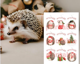 Cute Hedgehog Christmas Holiday printable gift tags