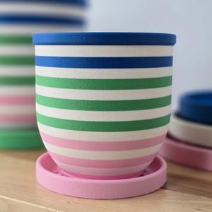 May include: A striped ceramic plant pot with a pink saucer. The pot features horizontal bands of blue, green, and pink against a white background. The rim is blue. Other pots are visible.
