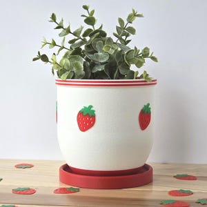 May include: A white ceramic plant pot with red trim and strawberry decals. The pot sits on a matching red saucer and contains a green leafy plant. Scattered strawberry-shaped decorations are on the surface.