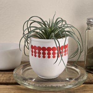 May include: White ceramic planter with a red polka dot design, featuring a green air plant.