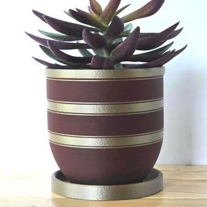 Indoor Planter with Drip Tray - Chic Modern Flowerpot for Home Decor. Self-watering planter. Simple planter succulent pot