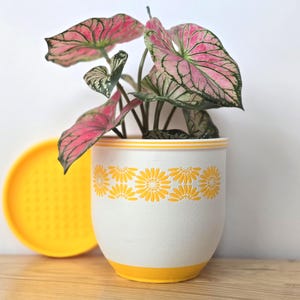 Vintage Planter Pot and Drip Tray - Modern flowerpot for plant lovers small vintage pottery planter