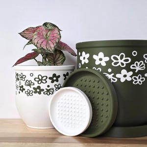 May include: Two ceramic flower pots, one white and one olive green, with matching saucers. The white pot has black flower designs, and the green pot has white flower designs. A plant with pink and green leaves is in the white pot.