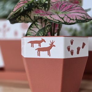 May include: Terracotta-colored, geometric plant pot with a white band featuring deer and footprint designs. The pot holds a plant with pink and green leaves. Another pot is slightly out of focus in the background.